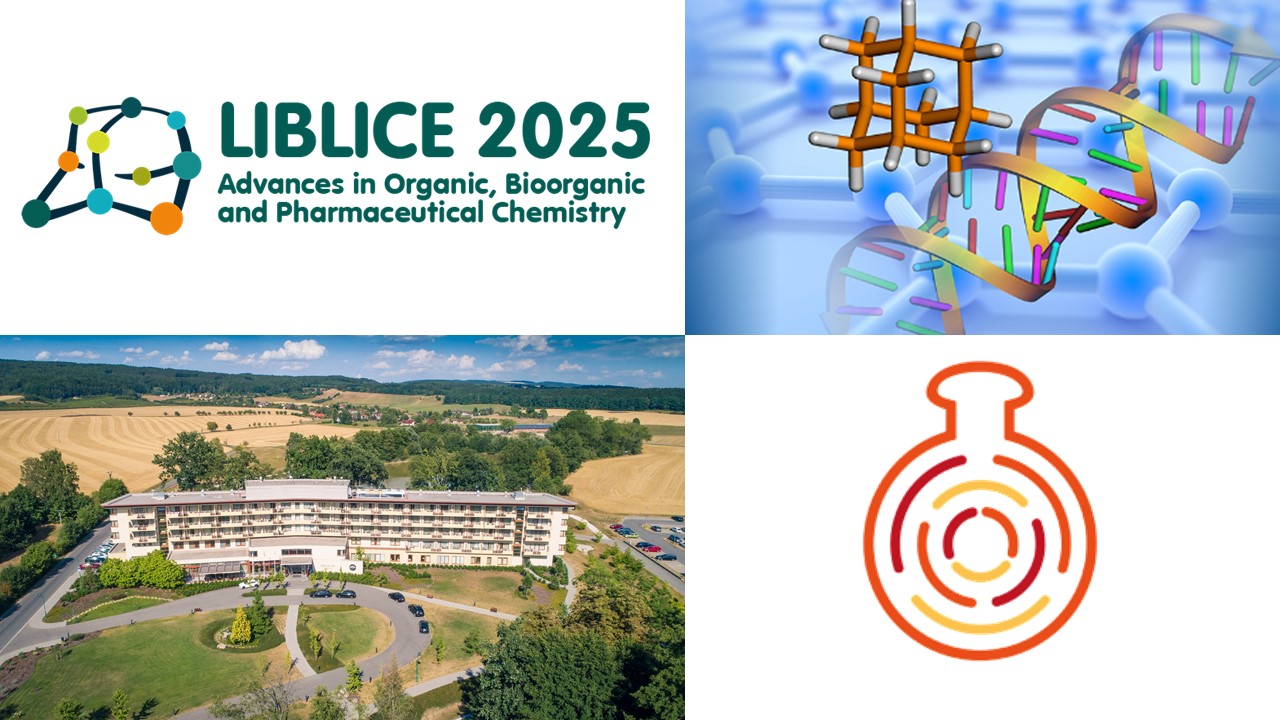 Konference Liblice 2025