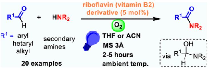 Jak elegantně udělat amidy z aldehydů a aminů pomocí ultrafialového záření a riboflavinu?